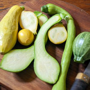 Heirloom zucchini